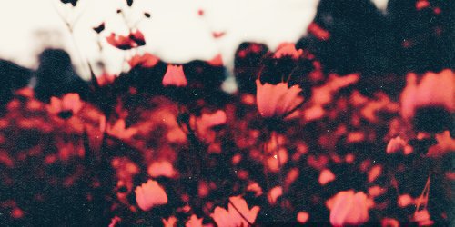 Gluttinuous's tweet photo. 『 ⓒⓐⓝⓝⓘⓑⓐⓛ 』
↬ “ Dᴇᴍᴏɴs ᴀʀᴇ ᴛᴀsᴛʏ ~ ♪ ”
⟬ 💕 ⟭
❥ ;#DSPRP, #MVRP.
❥ ;detailed & literate.
❥ ;extreme tw.
➳ : ❛ #stellarbees ❜ https://t.co/MYIkh8JjPK