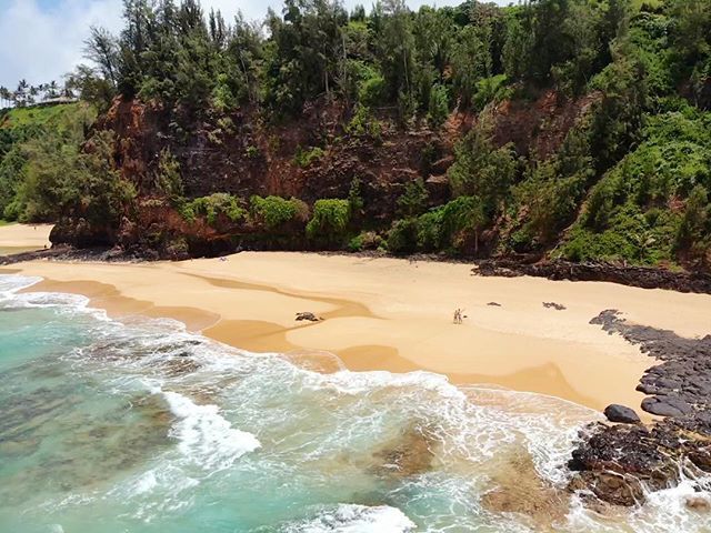 clingo's tweet photo. Can you spot us? Glad we were able to catch this beauty - Secret Beach, or Kauapea Beach, located on the North Shore between the Kilauea Lighthouse and Kalihiwai Valley. A bit hard to find given that there are not any public roads and it requires a 10 mi… https://t.co/1naoLZNdCD https://t.co/cMGSexMgjp