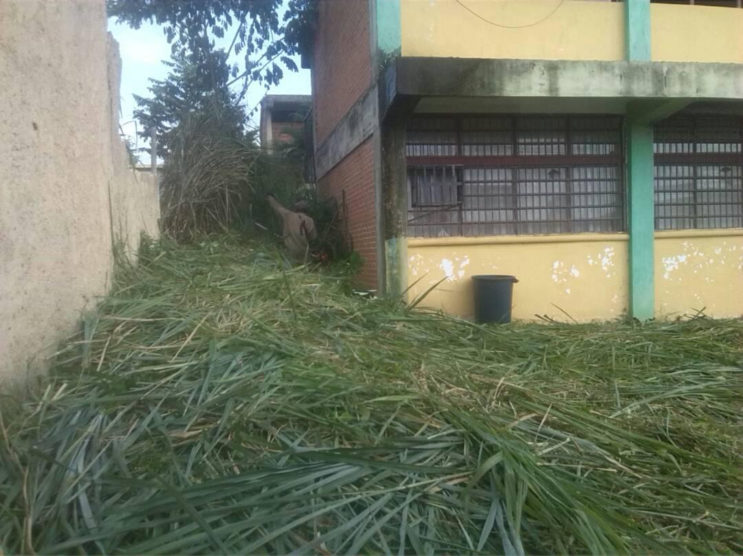 CBITLosCardones's tweet photo. Gracias Alcalde Juan Perozo por su apoyo para la limpieza de maleza en el Liceo Los Cardones el día de hoy @juanperozom @cbitcarabobo @JauaMiranda @AS_Libertador https://t.co/BZm3yMrVtU