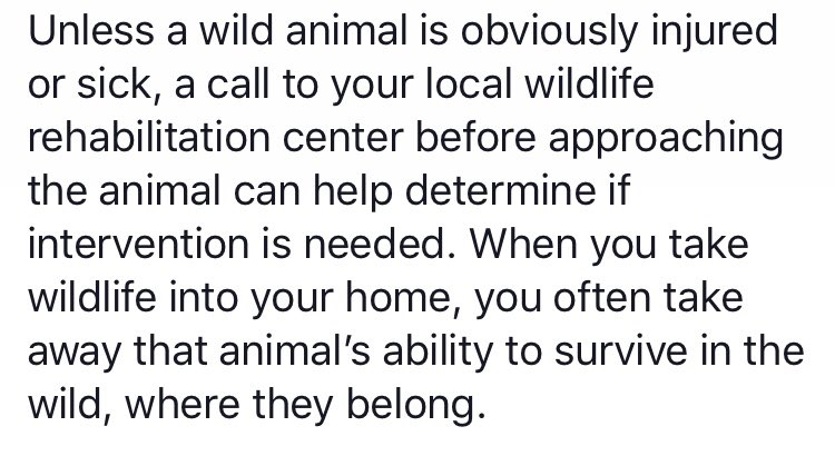 PWRC (@pwrcentre) on Twitter photo 