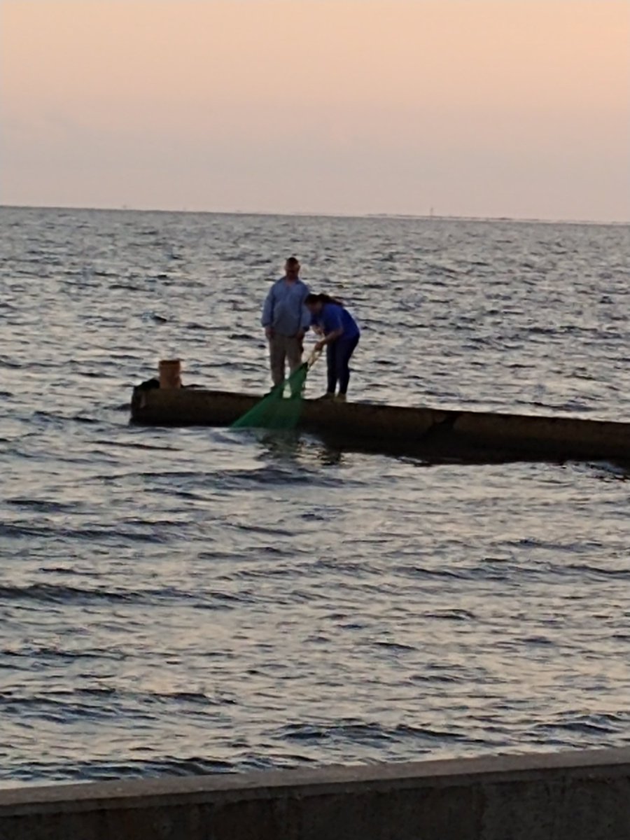 bricewigginsMS's tweet image. Life @ #sunset on @msgulfcoast. #peaceful #castnet