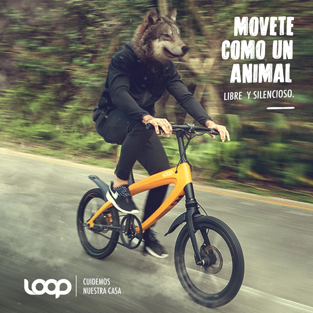 A͟͟C͟͟T͟͟I͟͟T͟͟U͟͟D͟͟ A͟͟N͟͟I͟͟M͟͟A͟͟L͟͟  Movete sin dejar rastros. #CuidáTuMundo #SemanaDelMedioambiente #MovilidadUrbanaSustentable #BicicletaElectrica