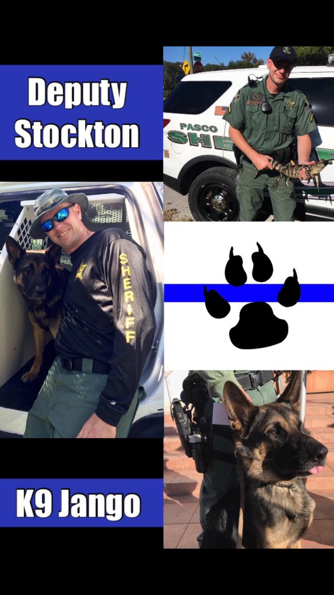 LivepdEdits's tweet photo. Love #K9Jango action ๐
#PascoProud ๐
#LivePD ๐
#LivePDNation ๐ฅ
#ZendejasWeekend ๐ https://t.co/RgYjWS7Pa0