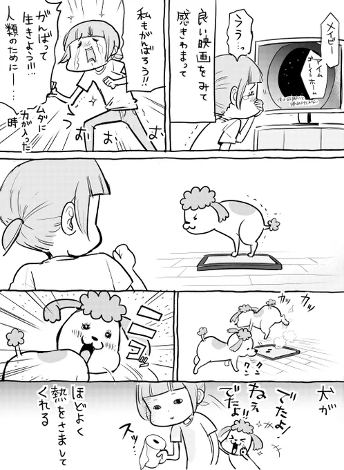犬と猫どっちも飼ってると、飼い主想いで毎日たのしい 