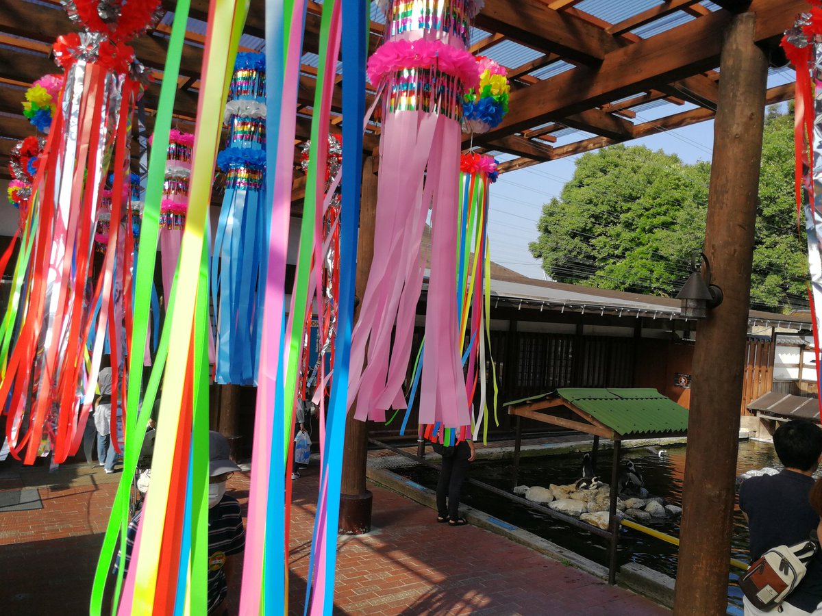 ロワパ 花屋 ロワテオ 掛川花鳥園で 出張ことりカフェ やっです 園内は七夕の装飾が施され 笹もありましたので短冊に願いを込めてみました 売店ではわたしがイラスト描いたお菓子とマスキングテープもあります 掛川花鳥園まで遊びにきてね ロワパ 花屋 ロワテオ 掛川花鳥園で 出張ことりカフェ やっです 園内は七夕の装飾が施され 笹もありましたので短冊に願いを込めてみました 売店ではわたしがイラスト描いたお菓子とマスキングテープもあります 掛川花鳥園まで遊びにきてね