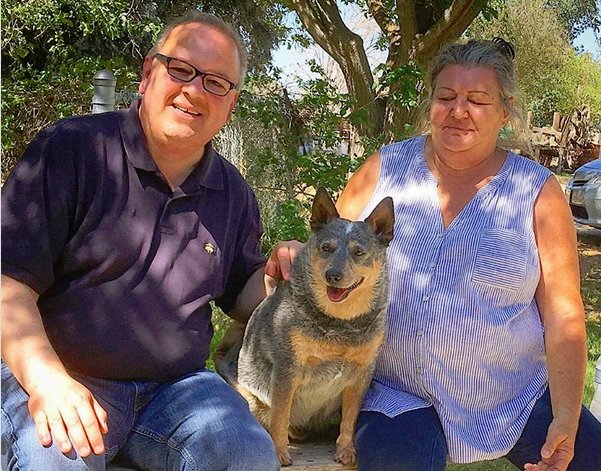 GreenSoil's tweet photo. #Hoppy the cattle dog approves this message @RedneckRosarian for #VP of the @AmericanRoseSoc   cast your #vote Chris's passion &amp; vision for the #historic organization will help it grow #rosechat #gardenchat #plantchat https://t.co/8xX5F40pZB