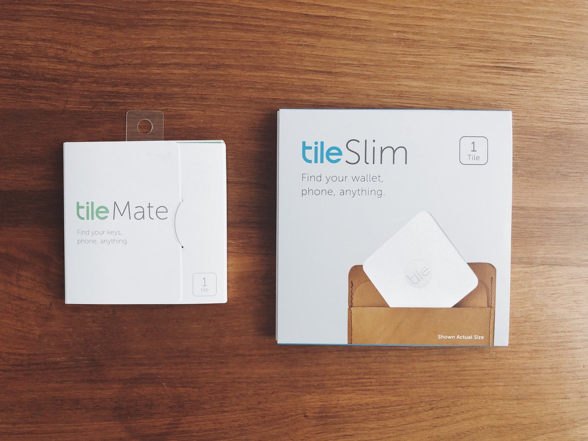 Nagisa Ichikawa 🧠 tweet media