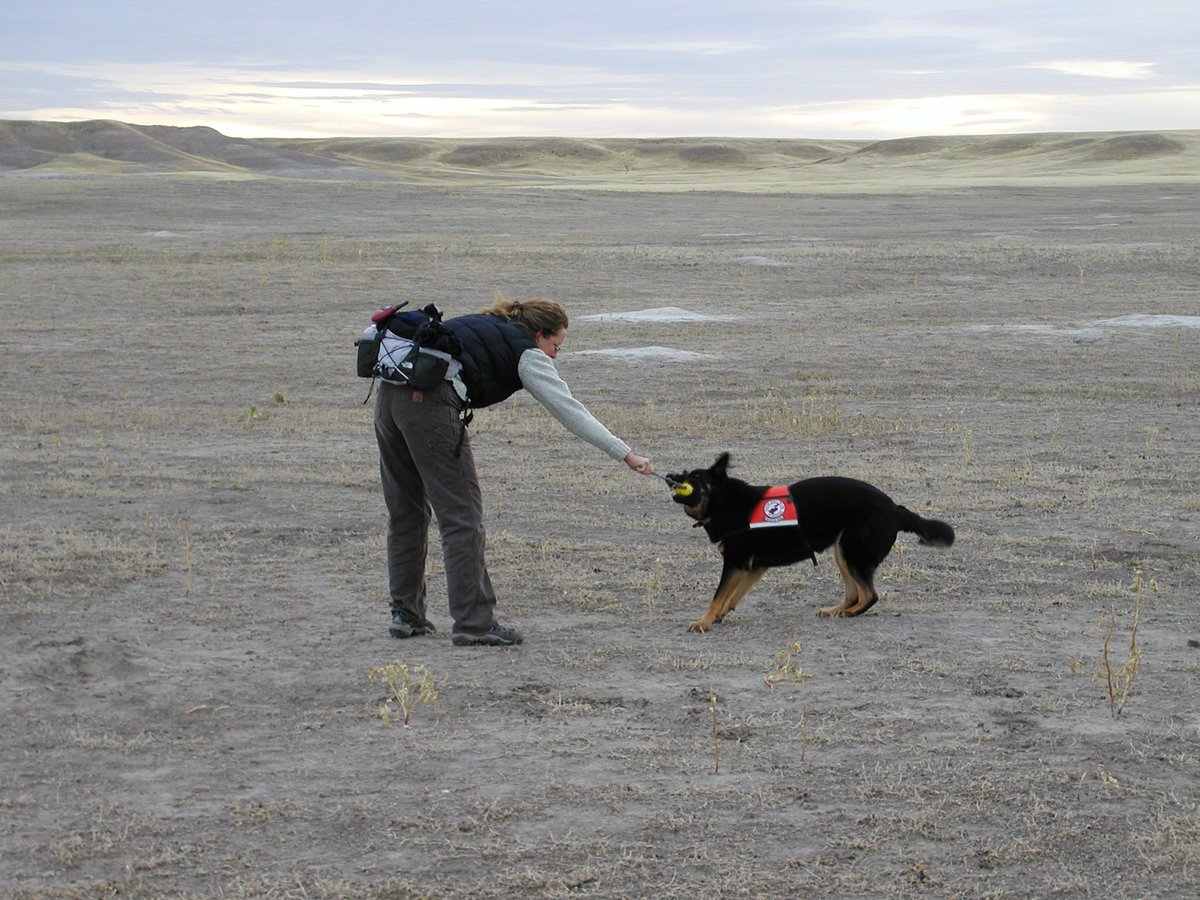 WD4C's tweet photo. #OptOutside : you may have seen us mention this before. While we didn’t invent the hashtag we have our awesome partners @REI to thank for it. We at #WD4C encourage everyone to #optoutside ! Get off the computer, phone ( except if you want to send us a pic of your dog ) https://t.co/ZwtLShG6y7