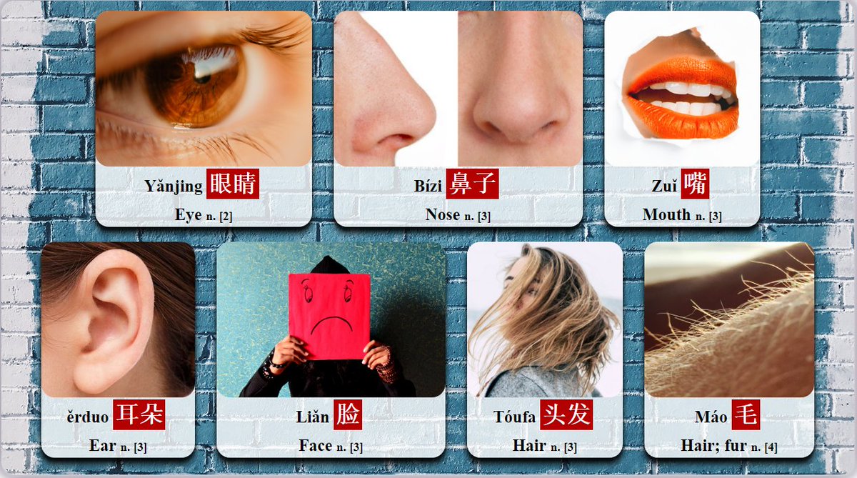 Daily_Zhongwen's tweet photo. #Flashcard: #Chinese_Nouns No.12 [HSK level 2,3,4]
Yǎnjing-眼睛-Eye, Bízi-鼻子-Nose, Zuǐ-嘴-Mouth, ěrduo-耳朵-Ear, Liǎn-脸-Face, Tóufa-头发-Hair, Máo-毛-Hair; fur.
#learn_Chinese #learn_mandarin #学中文 #学汉语 #Chinese_vocabulary #HSK https://t.co/qwelAm1un2