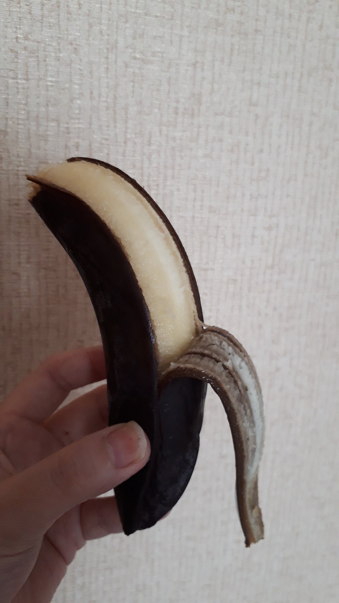 تويتر 三好りえ على تويتر バナナって 皮ごと冷凍すると真っ黒になるらしい ロ 頂き物ですぅ ありがとうございます ことのままバスツアー 笠原弘子 三好りえ T Co Uwfkvrcdoh