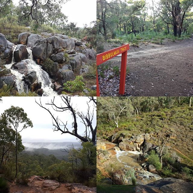 mjkeenanwriter's tweet photo. Spectacular day for a trail run. #bibbulmuntrack #rockypool #gooseberryhill #weatherforecastfail #unciviliseyourself #solorun #everyoneelsesleptin #trailrunning https://t.co/51h7qd9pis