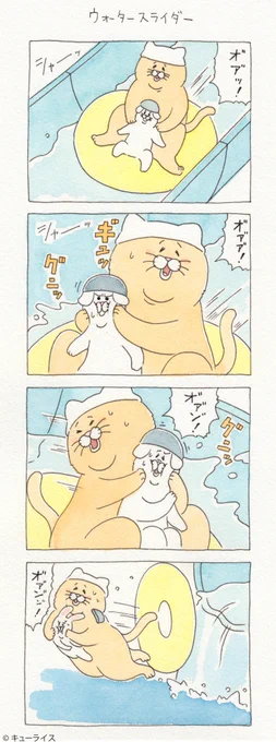 4コマ漫画ネコノヒー「ウォータースライダー」/water slide   