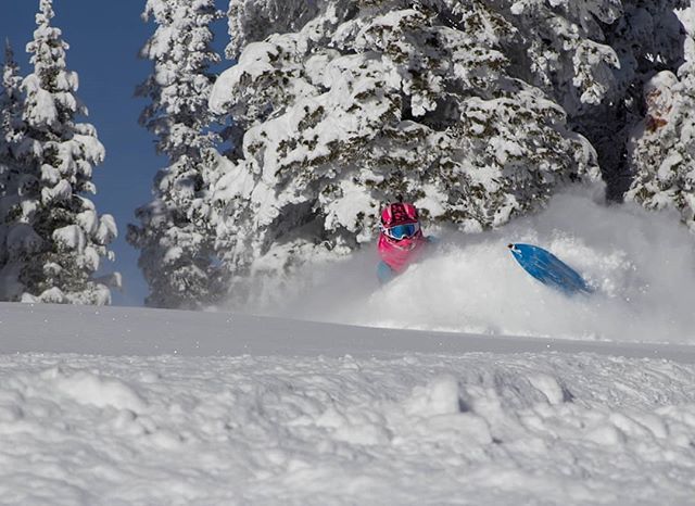 SledUSA's tweet photo. Who misses doing pow turns in the white room!? βπ€πΌ
Team Rider @406tmac
π·: @603shredz
#SledUSA #RideWithPride #Snowmobiling #BMFabrications #BMFab https://t.co/2nurNeRCWT https://t.co/itoONtzgLx