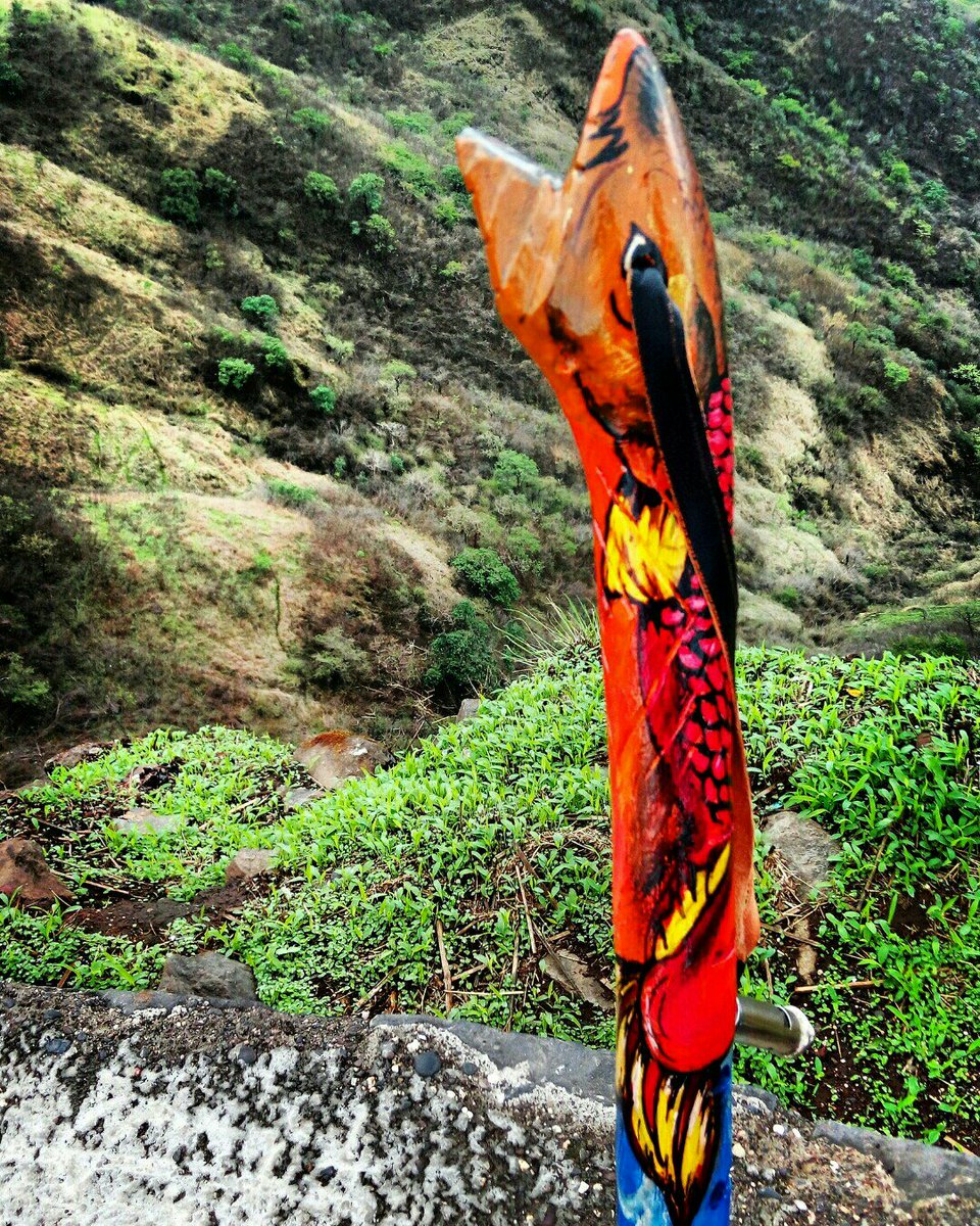 bheemkk's tweet photo. Each of my stick has a unique story to tell.. Thanks @roadtripper876 for sharing your experience with 'WILLA'... #bheemstyx #allpurposesticks #walkingstick #stick #trekker #walker #roadtripper #companion #naturewalks #handmade #craftstories #exploring #nature.... https://t.co/ETEHydAfaR