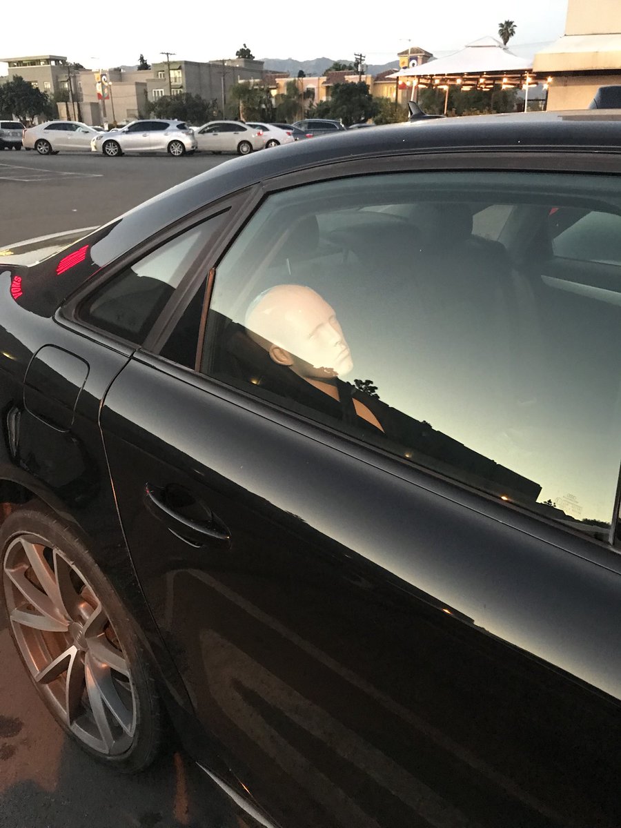 OliverStar03's tweet photo. @Norah_Nova @apacsocial @RileyReyXXX @AVNMediaNetwork @XBIZ You mean the βroad headβ picture?
Picture and story time...
Norah thought it would be funny to strap the head in the backseat. We left to go to dinner and when she got outta the car she saw it through window and freaked out. She forgot it was back there. #HighPeopleProblems https://t.co/eOT09HLUNH