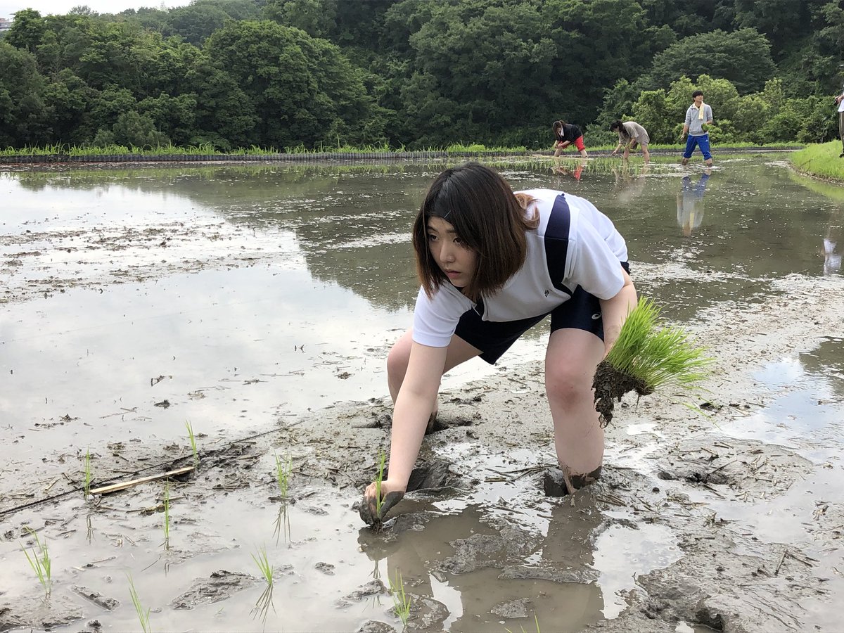 studio884_'s tweet photo. 6月10日(日) 田植え開始!
キアラさんと放送芸術学院の学生さんたちが、一つひとつ丁寧に植えてくれています。
#0610 #放送芸術学院専門学校 #映画ドラマコース #田植え #農業プロジェクト #奥河内 #河内長野 #国際交流 #studio884 https://t.co/m4KIA7ki3h