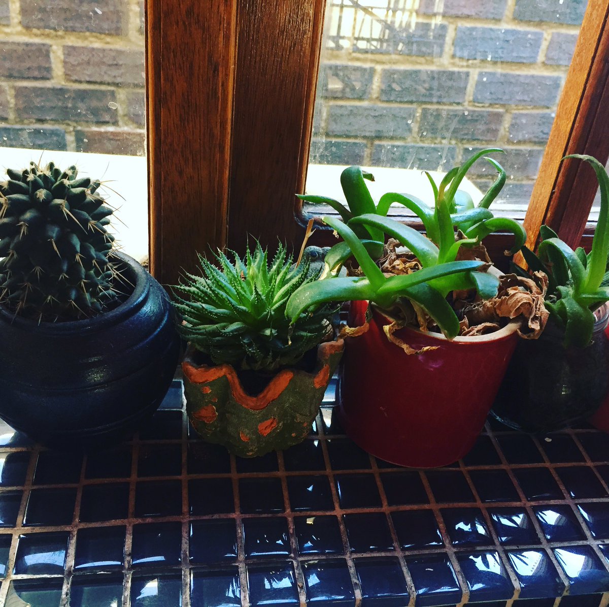 vanessaperumal's tweet image. Love beautiful #homespaces. Had the best all day #brunch yesterday and in downtown . When #decor is all about #styling #hackingthetravelcode