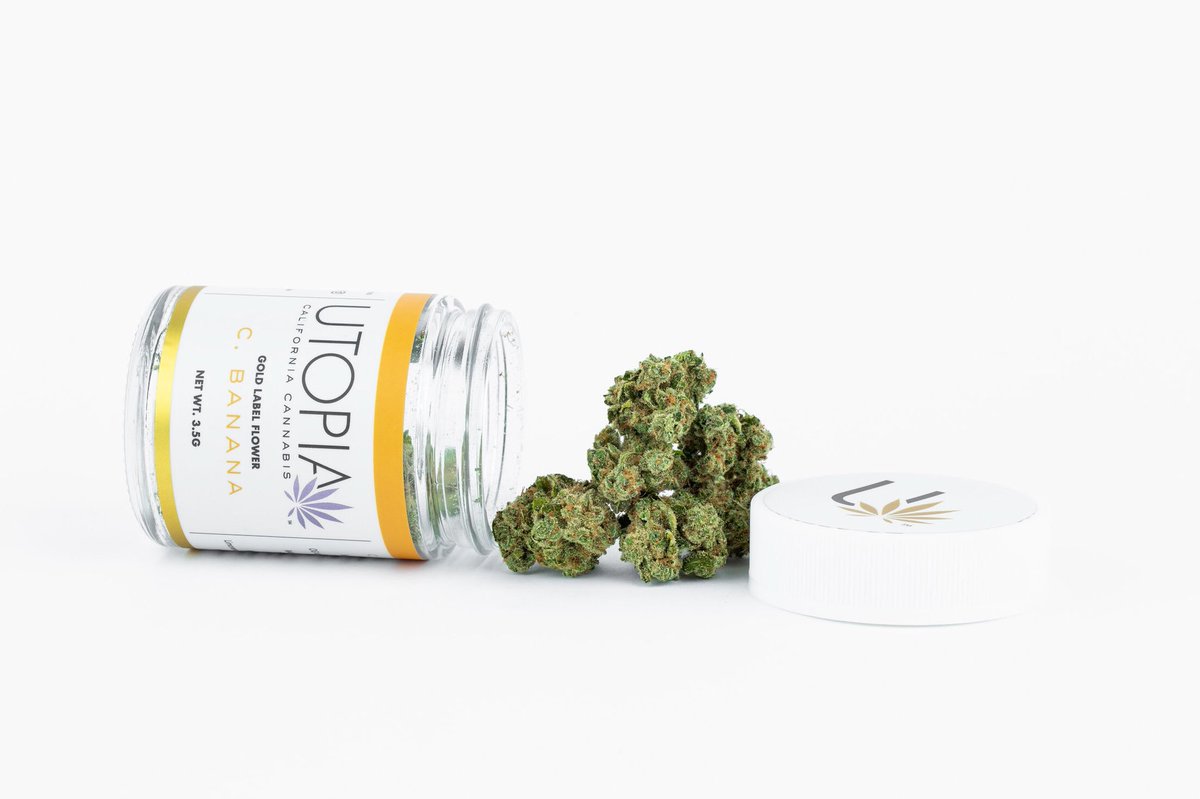FromtheearthOc's tweet photo. This C. Banana from @utopiacannabis is amazing!!! So potent & tasty π All there strains are super consistent, you have to try them if you havenβt yet! π€ #UtopiaFarms #CBanana #Strains #Sativa #MedicalMarijuana #Cannabis #Cannabinoids #CannabisCommunity https://t.co/OBh0VldIt9
