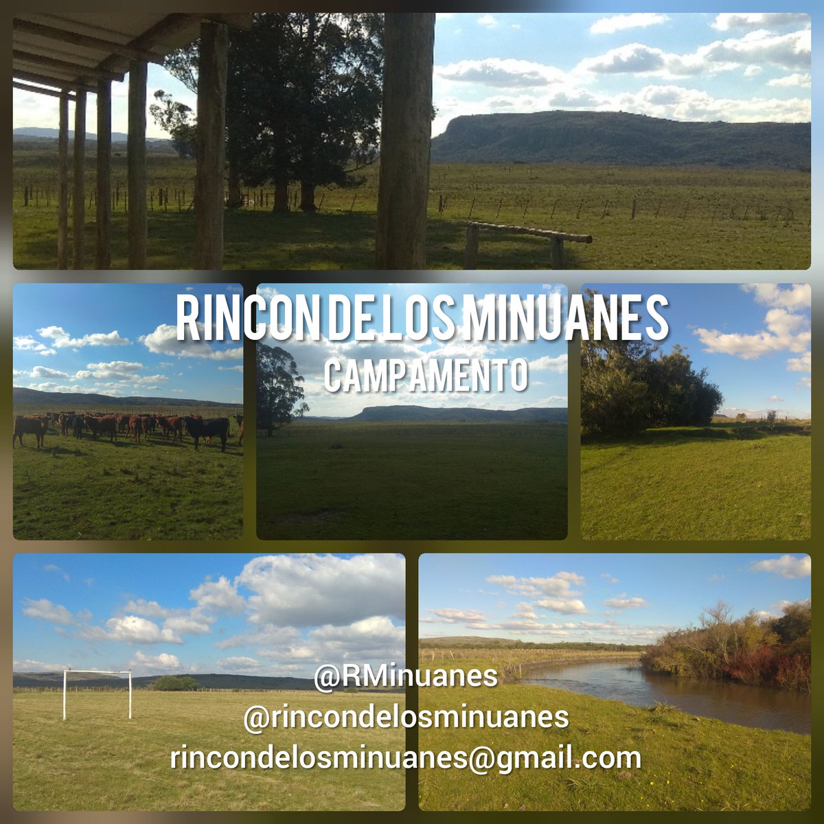 Rincón de los Minuanes (@rminuanes) on Twitter photo 