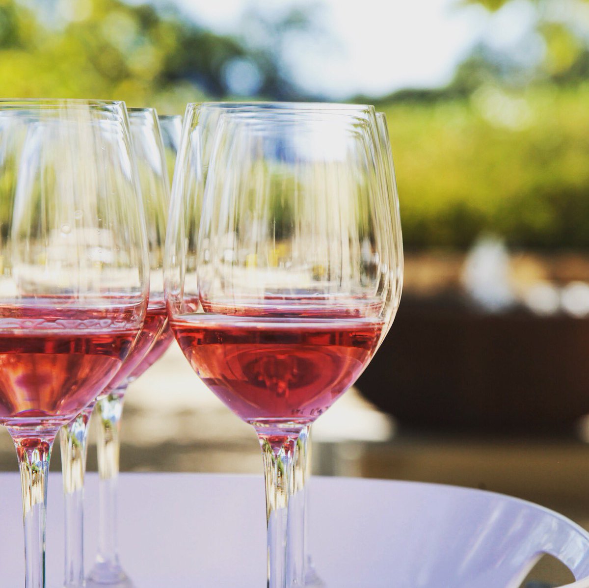 Happy National Rosé Day! We hope you are enjoying a bottle of something pink and delicious! 🍷💛
.
.
.
#nationalroséday #kellyflemingwines #roséallday #yeswayrosé #rosé #summertime #winetime #napavalley