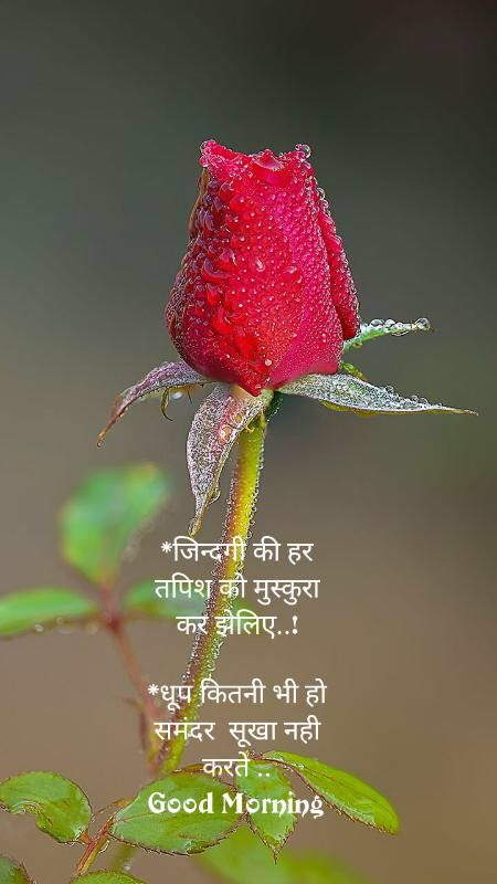 himanshu8618's tweet photo. #acceptwithgrace https://t.co/AS6T9uZFcT