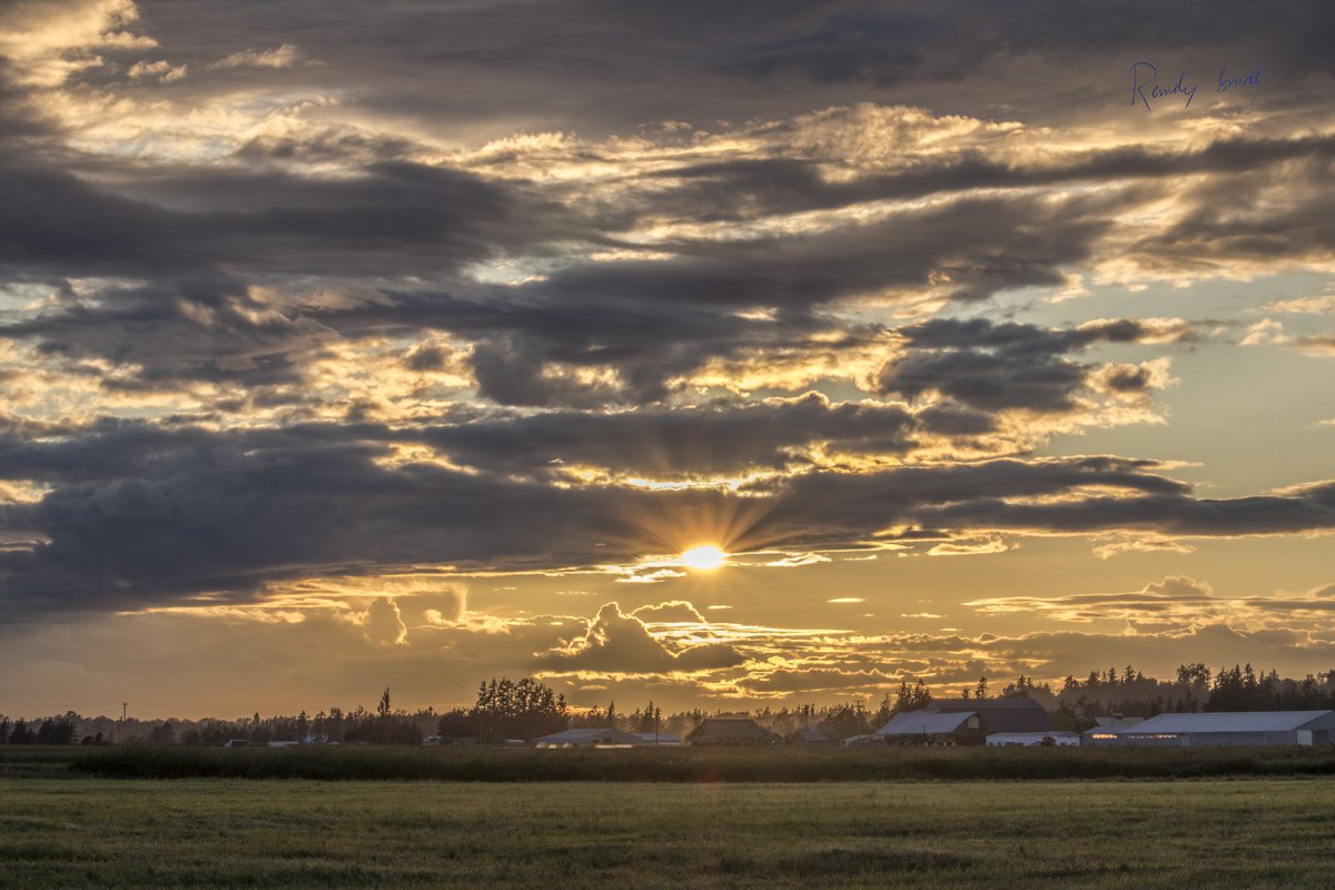 That is why we live here! Tonight's magnificent farm sunset from the #Lynden, WA/#Aldergrove, B.C. border! <a href="/NWSSeattle/">NWS Seattle</a> @ScottSKOMO <a href="/MorganKIRO7/">Morgan Palmer</a> <a href="/ShannonODKOMO/">Shannon O'Donnell</a> <a href="/ThePhotoHour/">#ThePhotoHour</a> <a href="/StormHour/">#StormHour</a> <a href="/spann/">James Spann</a> <a href="/JimCantore/">Jim Cantore</a> <a href="/bhamweatherBham/">Bellingham Weather</a> <a href="/ErinMayovsky/">Erin Mayovsky</a> <a href="/lbc_weather/">Little Bear Creek Weather</a> <a href="/KSeattleWeather/">Seattle Weather Blog</a>