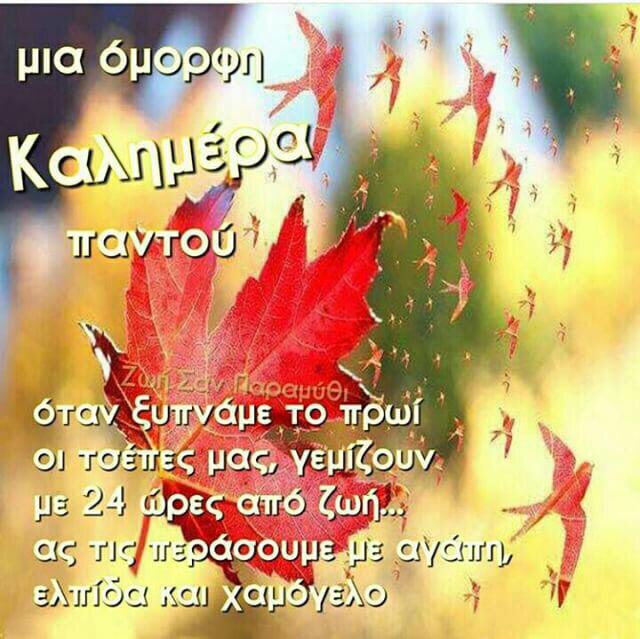 evanthia6's tweet photo. https://t.co/yV6VJnPc6g