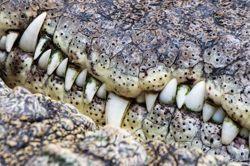 archillect's tweet image. 