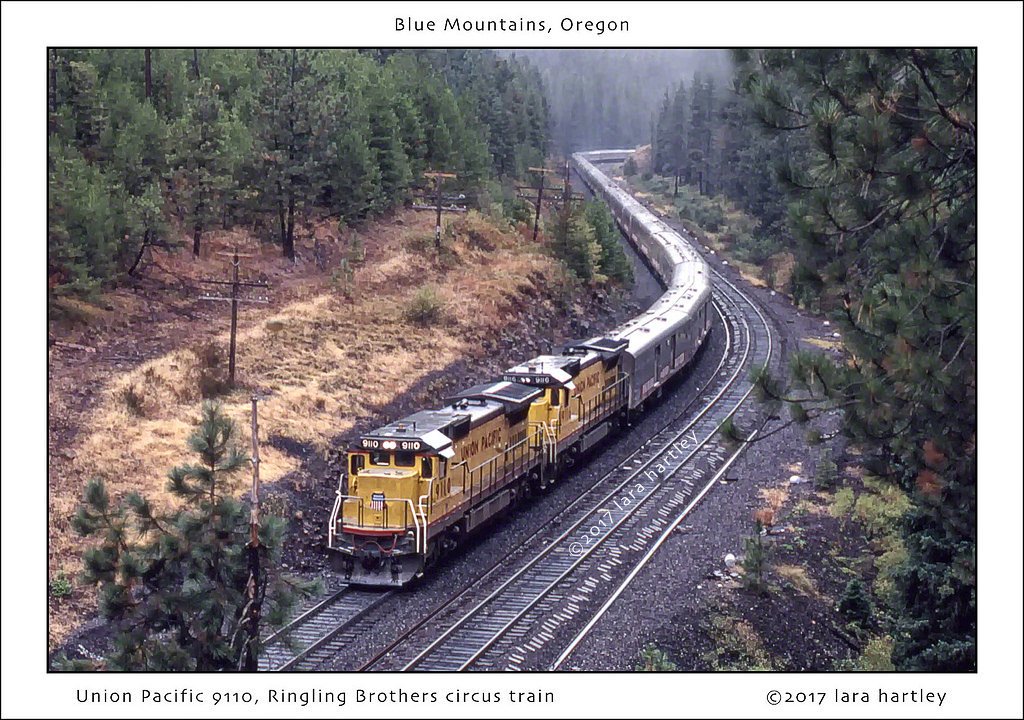 RailfanHub's tweet photo. Our first photo on #SubmissionSaturday by @red_delphinium: 
Union Pacific 9110, Ringling Brothers circus train, outside La Grande, Blue Mountains, Oregon.

Check out our friends: @RailFanners @RailfanCrew 

Submit your photos and videos in our DMs! https://t.co/v51SXF1aLa