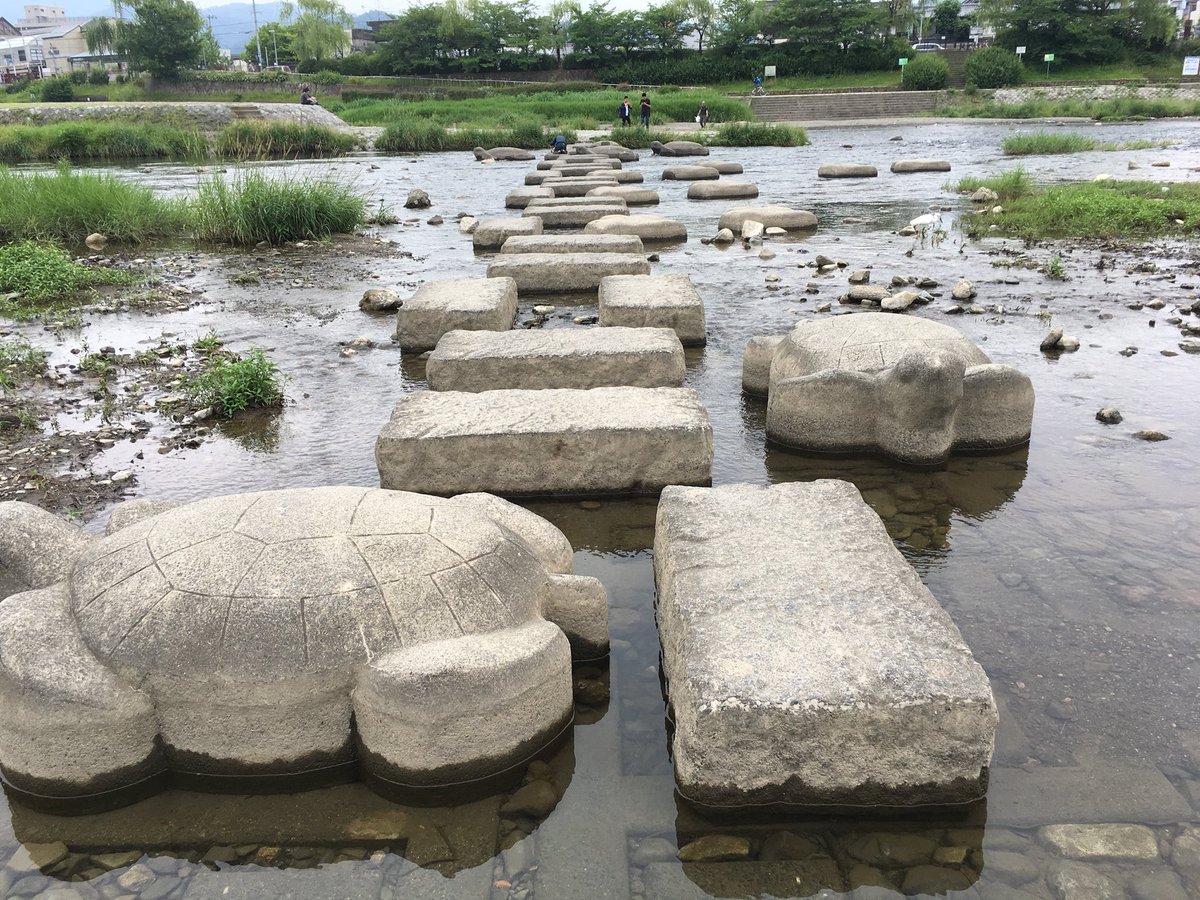 Reelu リエル たまこまーけっと 鴨川降りた 白い鳥パシャリ 名前わかんない 千鳥屋っぽい石 亀にピース