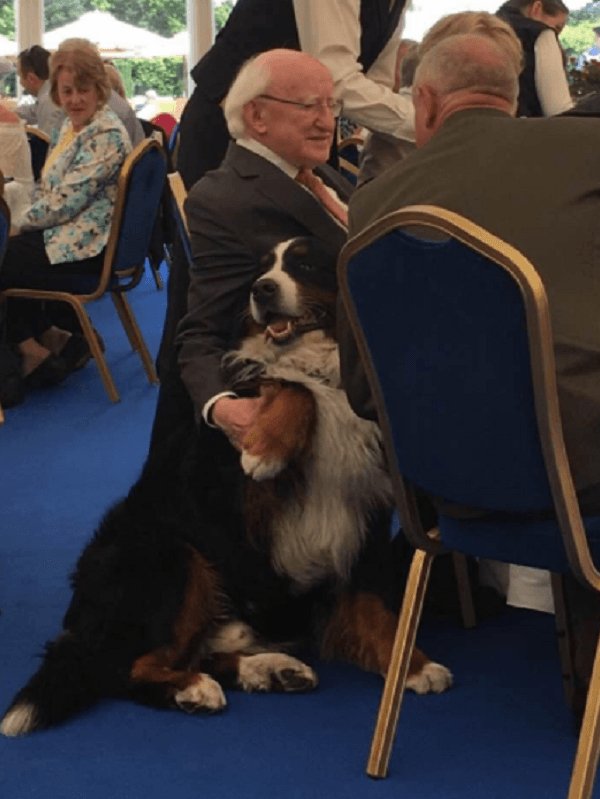 Postize's tweet photo. The President Of Ireland, Michael D Higgins, with his dog, Bród. https://t.co/1mN997khNr