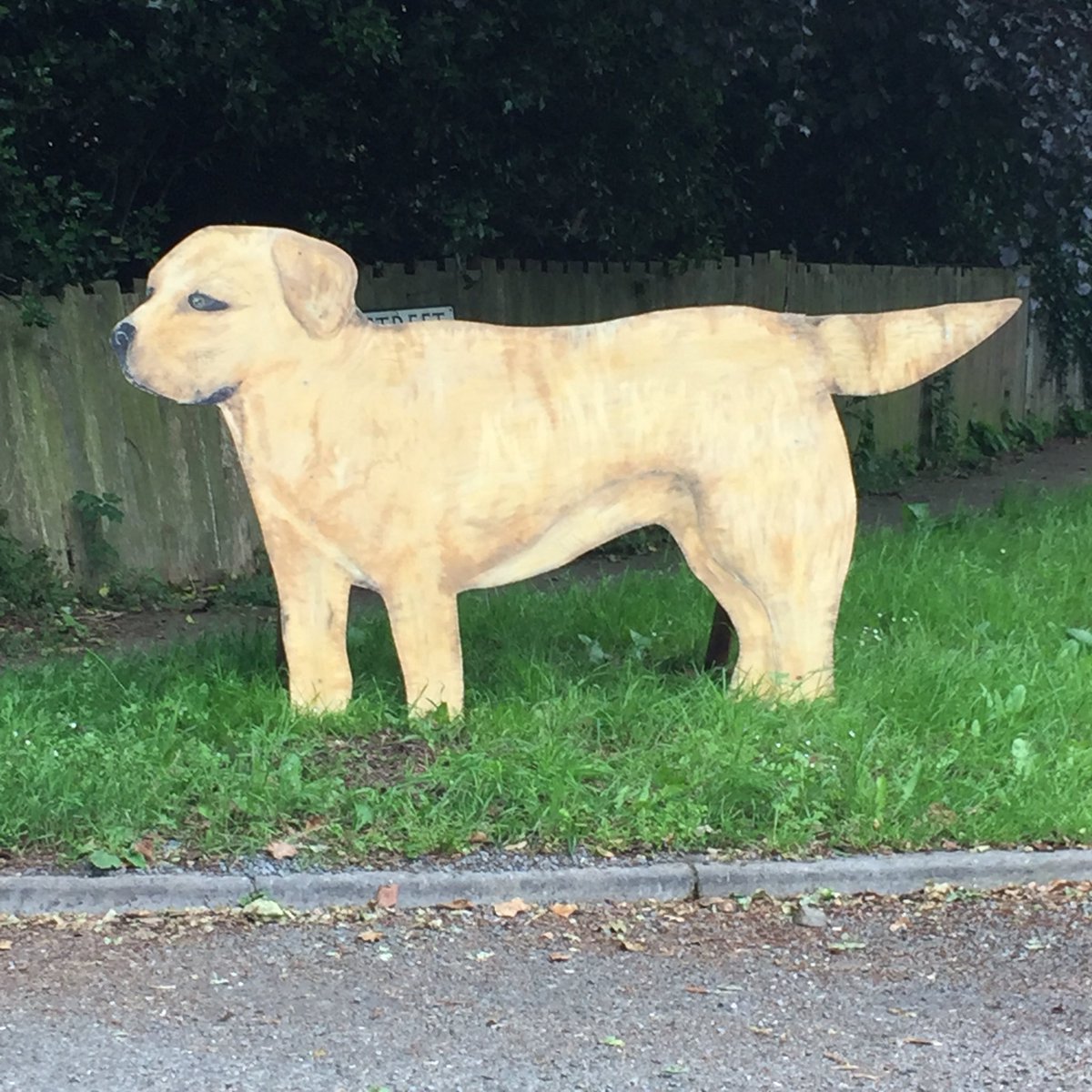 SYMutt2016's tweet image. Good morning from #struttyourmutt ! It’s going to be a great day here, come and join us for exclusive beautiful walks,amazing entertainment,great food and live music Benacre Suffolk TODAY!