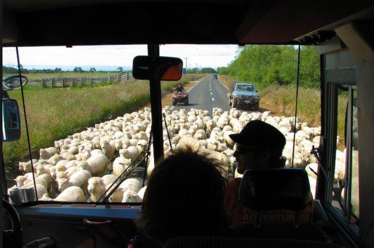 Leitrim for Choice tweet media