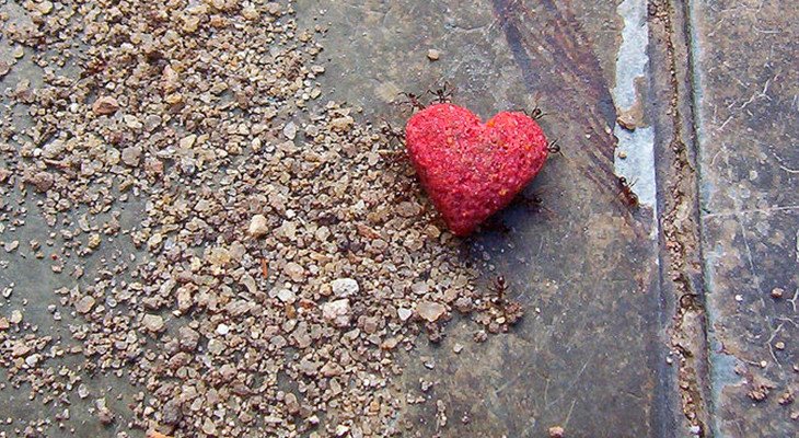 BabaRamDass's tweet photo. Love is neither a weak emotion, nor an escape! It can be as soft as a feather and as sharp as a sword. If anything has ever changed and elevated the world, it is love. All other impulses end up spinning in circles...

Terror and Love - https://t.co/VTh64CYRtY https://t.co/YtBNYn2byQ