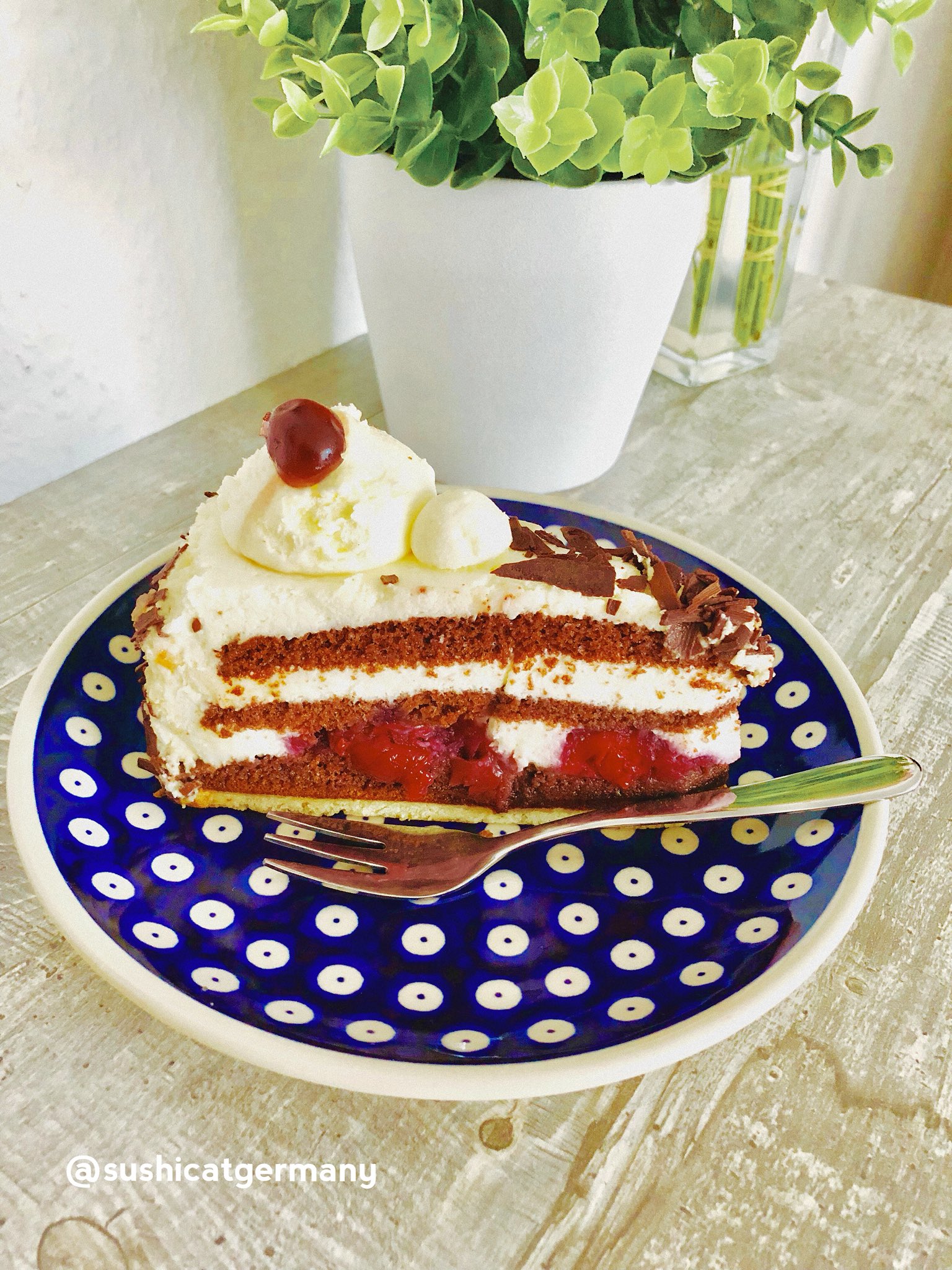 Sushicat ドイツな生活 数ある中で最も秀逸なドイツケーキのひとつが Schwarzwalder Kirschtorte シュヴァルツヴェルダー キルシュトルテ 黒い森のさくらんぼ酒ケーキ シュヴァルツヴァルト地方の暗い森をイメージし同地の特産品チェリー酒を使用