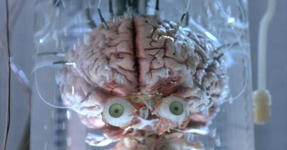 MonsterBestiary's tweet image. There are countless TV shows, movies and comics featuring disembodied brains. Why do we find them so mesmerising? My theory is that they're symbols of our anxieties concerning a lack of control and agency, despite our intelligence and the growing collective knowledge of mankind.