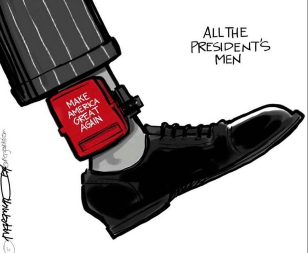 igena10's tweet image. We already have many Canadians enjoying Our winters as visitors, maybe we can have summer citizens privileges 😉😎 if you promise to be in charge of our elections and our #CanadianFloridians as #FloridaCitizens our new voters.  #ThinkFlorida