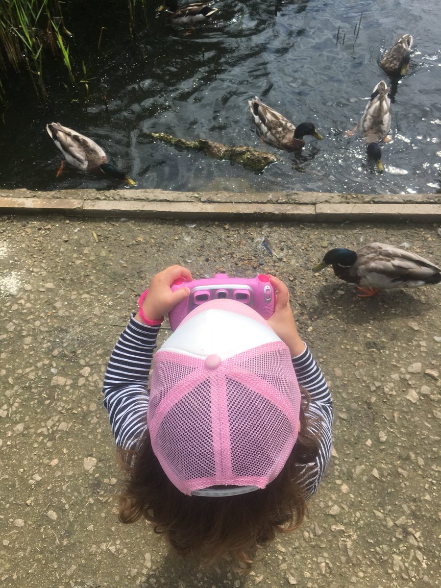 dremds's tweet photo. Joined by Marnie &amp; Moana on today’s #selfcaresunday walk! Got here taking some snaps so she can bore peeps with photos too and a bit of troll hunting under the bridge #amwalking #everydayselfcare #dadsapp #girlsruleboysdrool https://t.co/tmMntbQiAV
