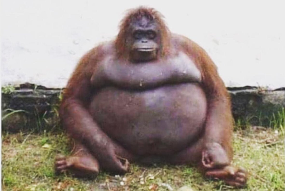 sebelum magrib           Setelah magrib
               #recehkantwitter