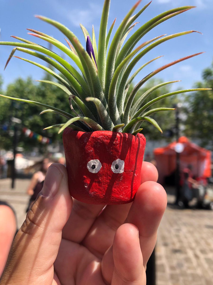 shrubbiesplants's tweet photo. We're in #Liverpool @theAlbertDock @_makersmarket until 4pm for all your planty needs! Come find us opposite the Pumphouse! 🌵🌿☀️

#market #Cactus #plants https://t.co/41D8e4KJN1