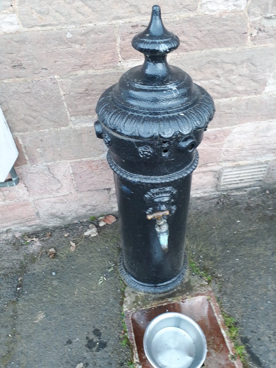 kvtr01's tweet photo. This was a godsend in Maxton. As I was getting desperately low on water and praying to God I would come across a shop I came upon this! #springwater #SCWU recce
tasted lovely too! https://t.co/eS7Q4sr2Q9