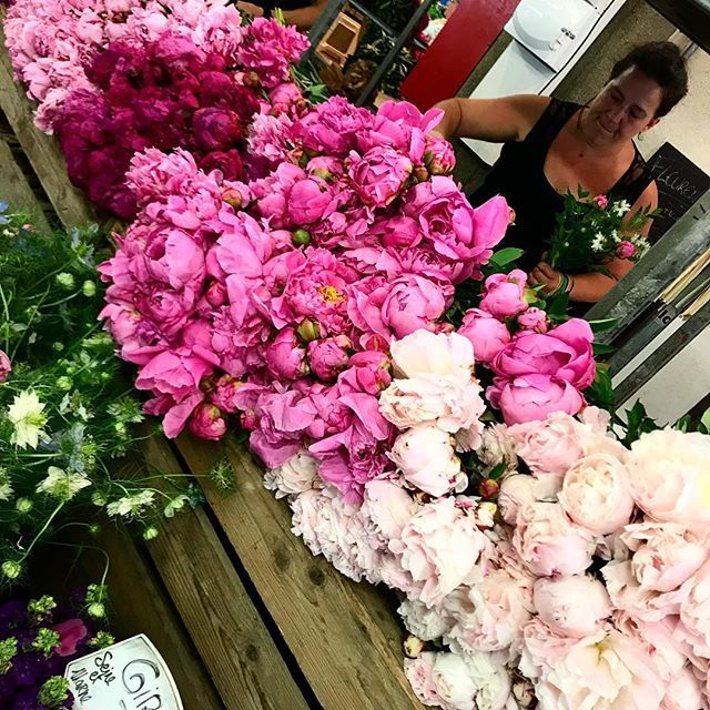 DoigtsFleuris's tweet photo. J’ADORE .....des #pivoines joliment entreposées sur l’étal de ma fleuriste au marché. Une splendeur, de la beauté et de la générosité qui me remplit de joie. Ça me rend heureuse ! 
#chat #jardinier #jardinage #terre #potager #garden #gardening #blogeusej… https://t.co/sgHzYFwq80 https://t.co/4qHGgarewe