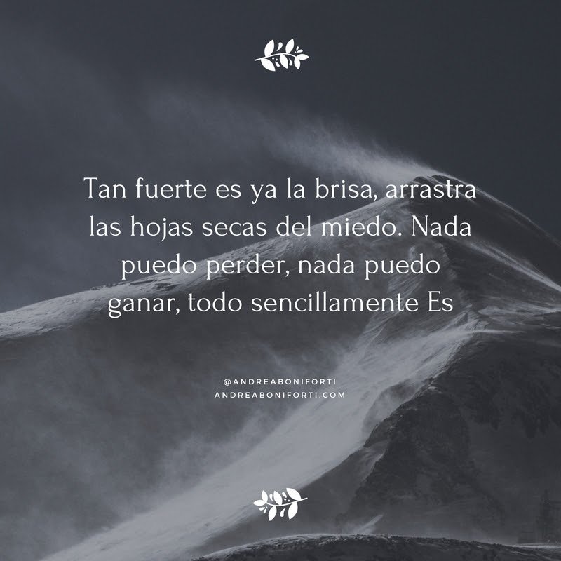 ser_y_amar's tweet photo. La sabiduría es la comprensión de lo que es de instante en instante, sin la acumulación de la experiencia y del pensamiento.
~  Jiddu Krishnamurti https://t.co/Oa4mrEk2wf