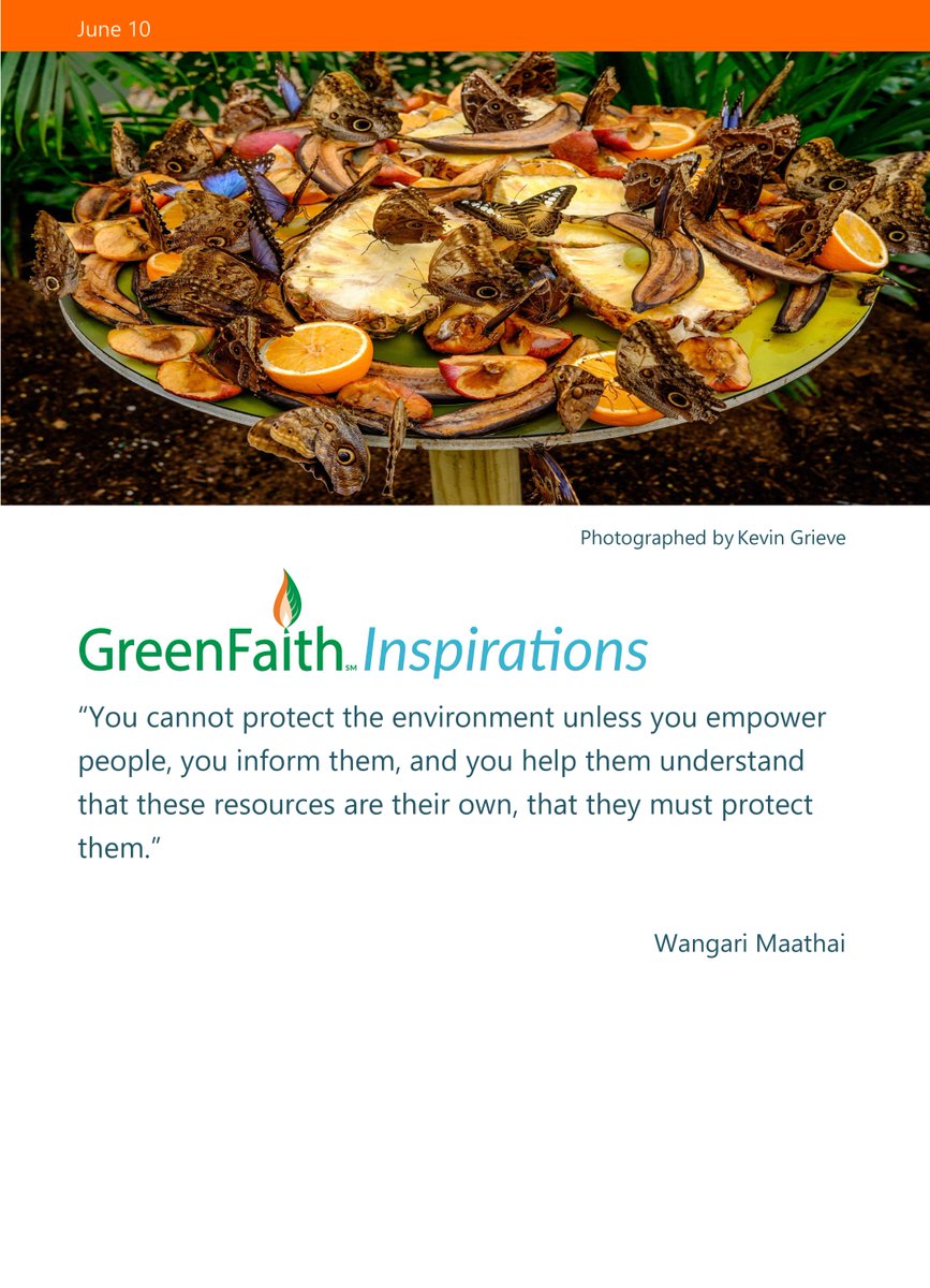 greenfaithworld's tweet photo. #protect #theresources #inspirations https://t.co/ajk5f7Filg