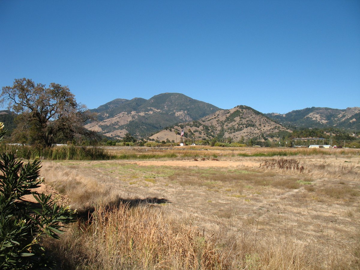 napasonomamag's tweet photo. Stop by The Saint in St. Helena to sample a variety of local wines without their own tasting rooms. @StHelenaCA @VisitNapaValley #NSMag #drinklocal #localwine #winetasting #winelovers #winecountry #vineyards https://t.co/MMMBeuvUYZ https://t.co/fqpb76yRw1