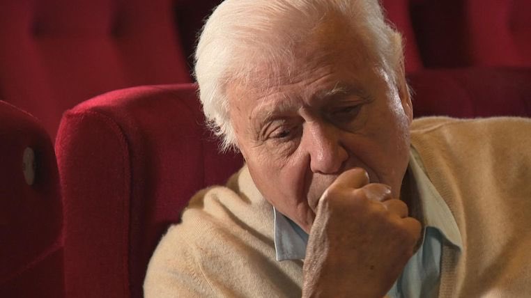 Sir David Attenborough: 'The human race will regret it if we don't act on plastic now' news.sky.com/story/sir-davi…