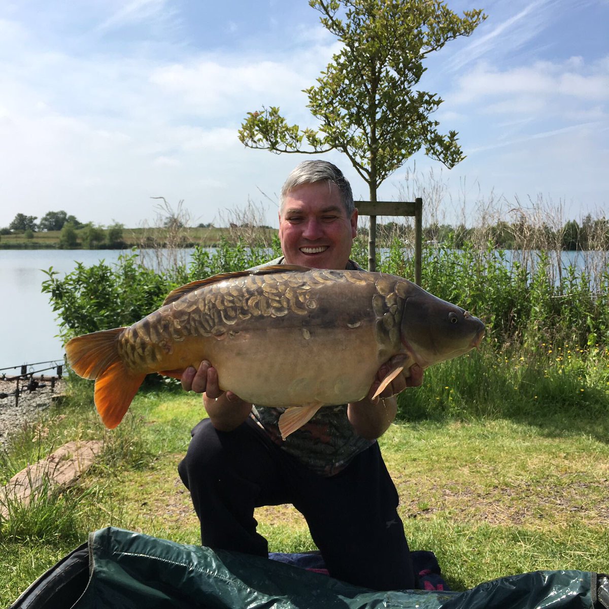 Tom Forrester Rbc Tom Forrester (@TomForrester33) / Posts / X