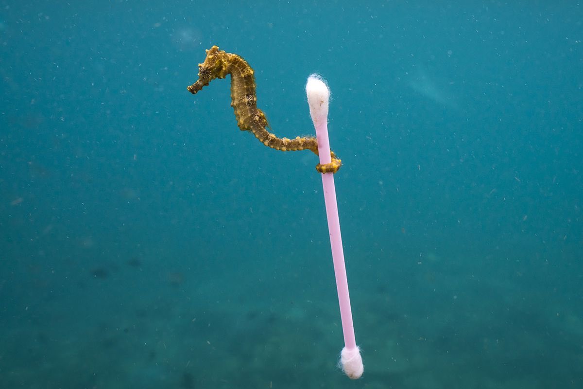 aplastic_planet's tweet photo. #Plastics Associations from regions across the globe signed the Declaration of the Global Plastics Associations for Solutions on Marine Litter in March 2011. Since then the global oceans plastics crisis has got increasingly worse. #WorldOceanDay2018 https://t.co/8ykoqB68xR