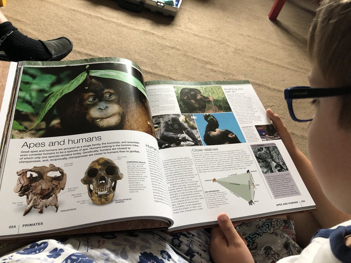 Katy Whitehorn tweet media