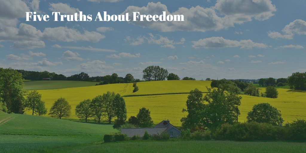 spad47's tweet photo. Five Truths About Freedom https://t.co/IIhhjCGsua https://t.co/l7dcRh5kdi